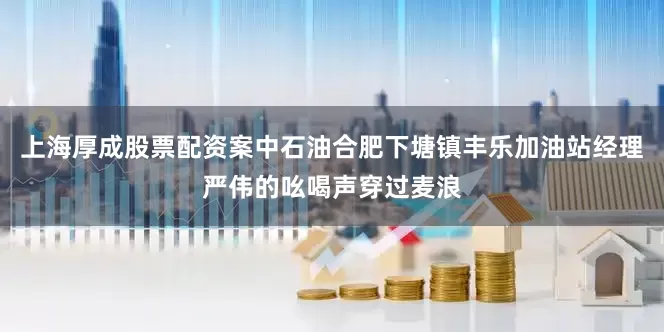 上海厚成股票配资案中石油合肥下塘镇丰乐加油站经理严伟的吆喝声穿过麦浪