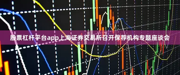 股票杠杆平台app上海证券交易所召开保荐机构专题座谈会