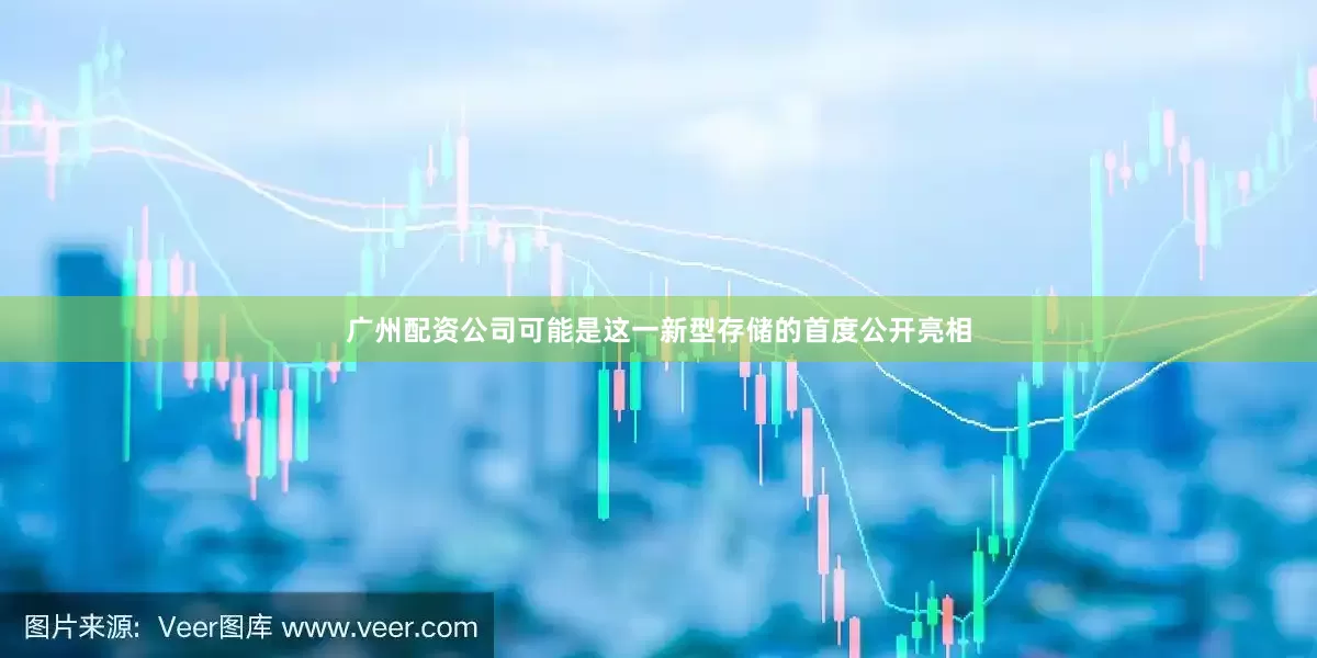 广州配资公司可能是这一新型存储的首度公开亮相