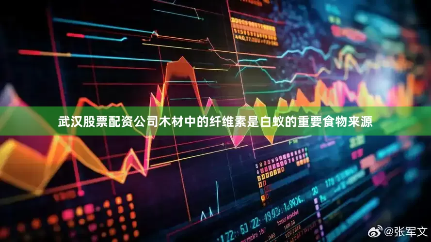 武汉股票配资公司木材中的纤维素是白蚁的重要食物来源