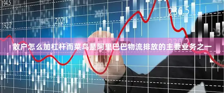 散户怎么加杠杆而菜鸟是阿里巴巴物流排放的主要业务之一
